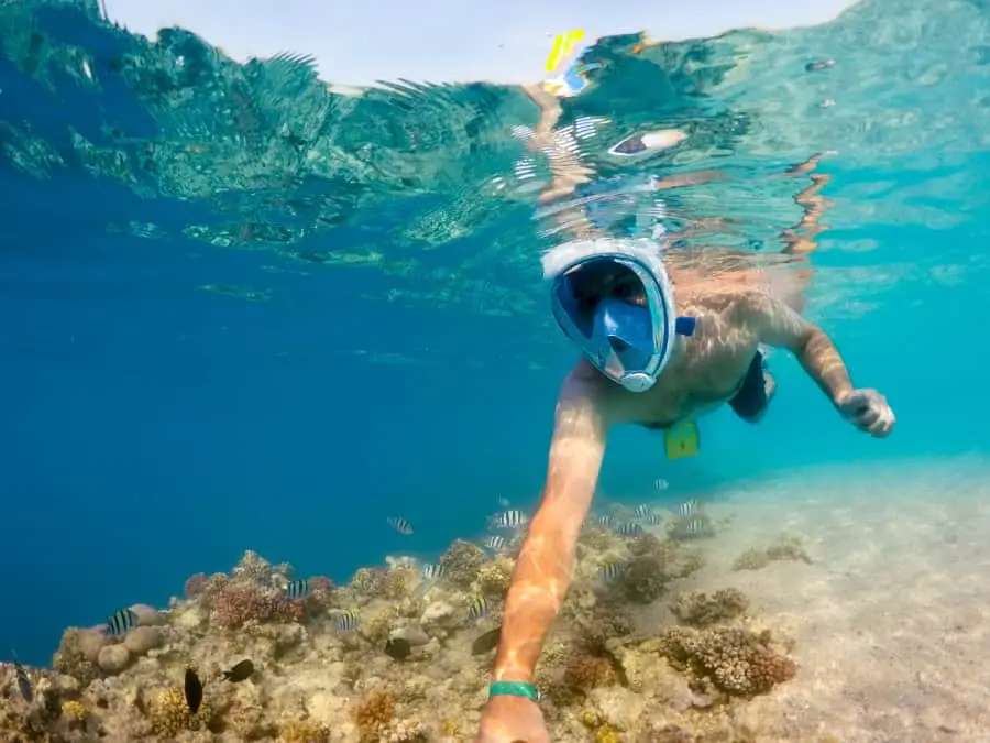 Snorkeling for Beginners