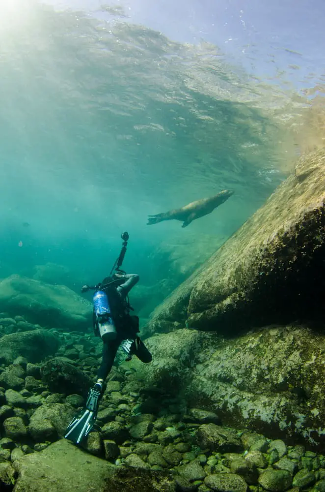 Aquatic World in Baja California