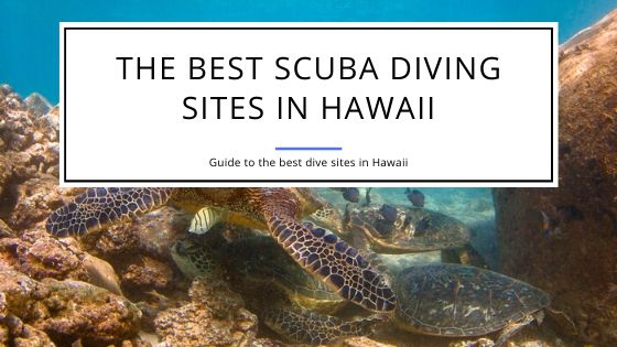 Best Scuba Diving Destinations in Hawaii