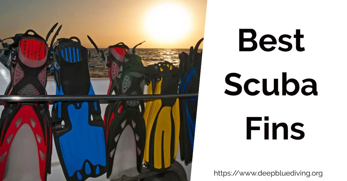 Guide and reviews of the best scuba diving fins