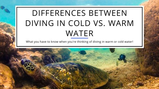 Differences between Diving In Cold vs Warm Water