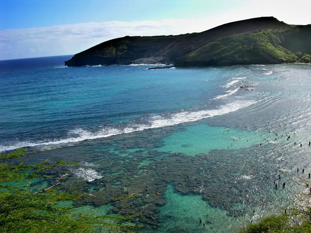 Diving in Oahu Hawaii