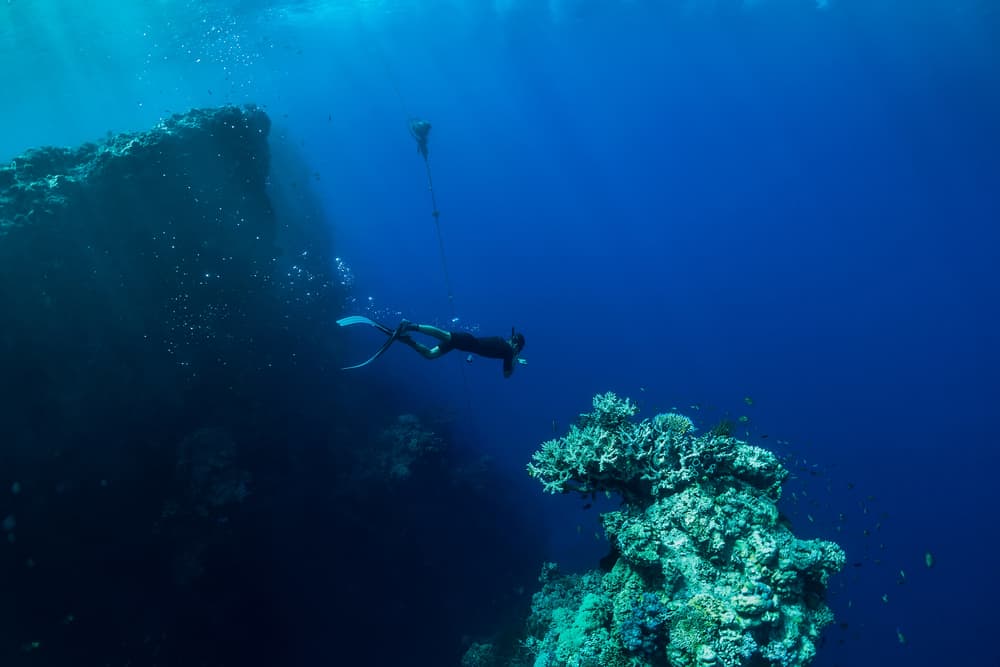 Diving in tropical corals in Hawaii