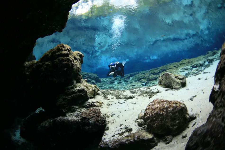 Scuba Diving in the Florida Keys