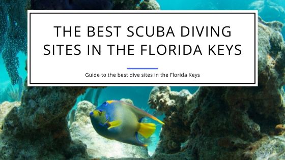 The Best Scuba Diving Sites in the Florida Keys