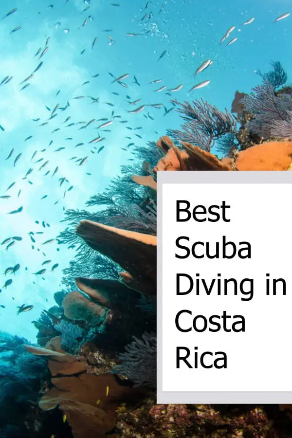 Best Scuba Diving in Costa Rica P