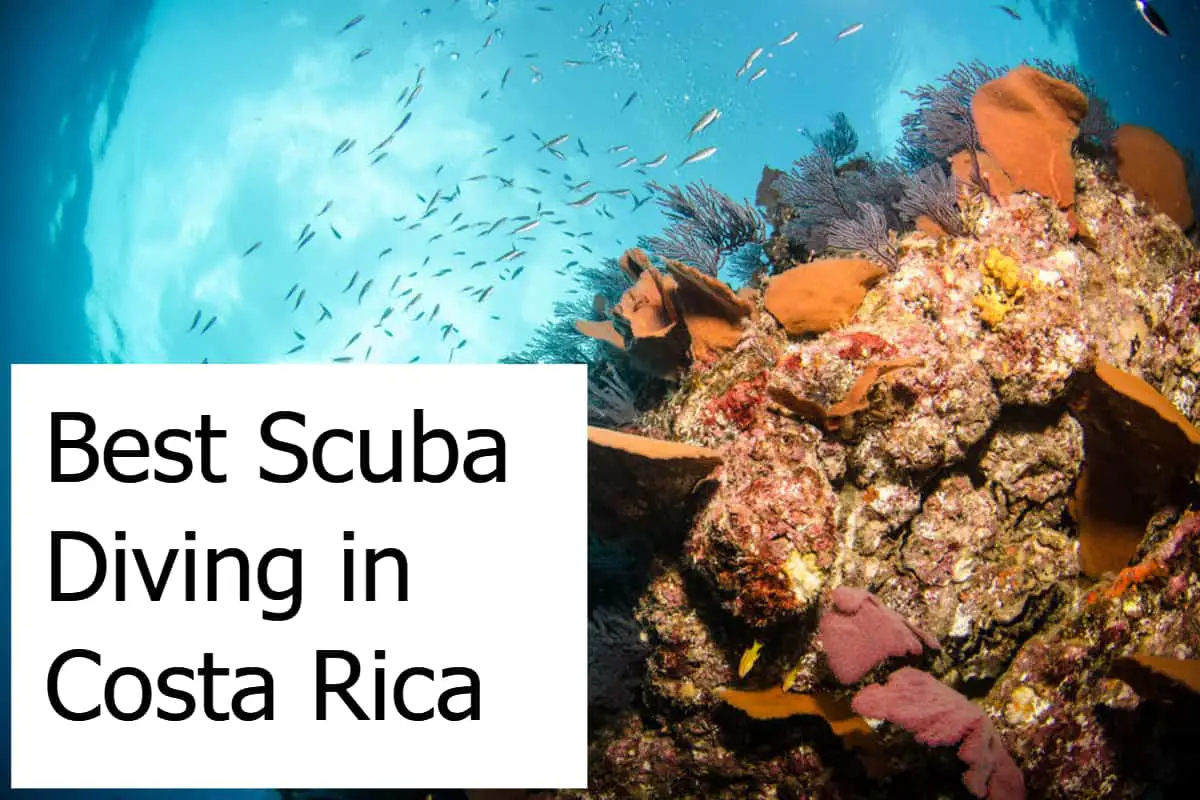 Best Scuba Diving in Costa Rica