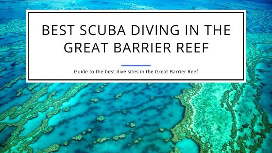 Best Scuba Diving in the Great Barrier Reef