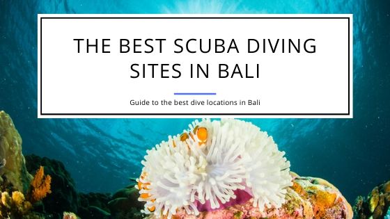 The Best Scuba Diving Sites in Bali