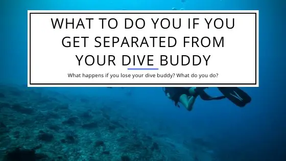 What to Do You If You Get Separated From Your Dive Buddy