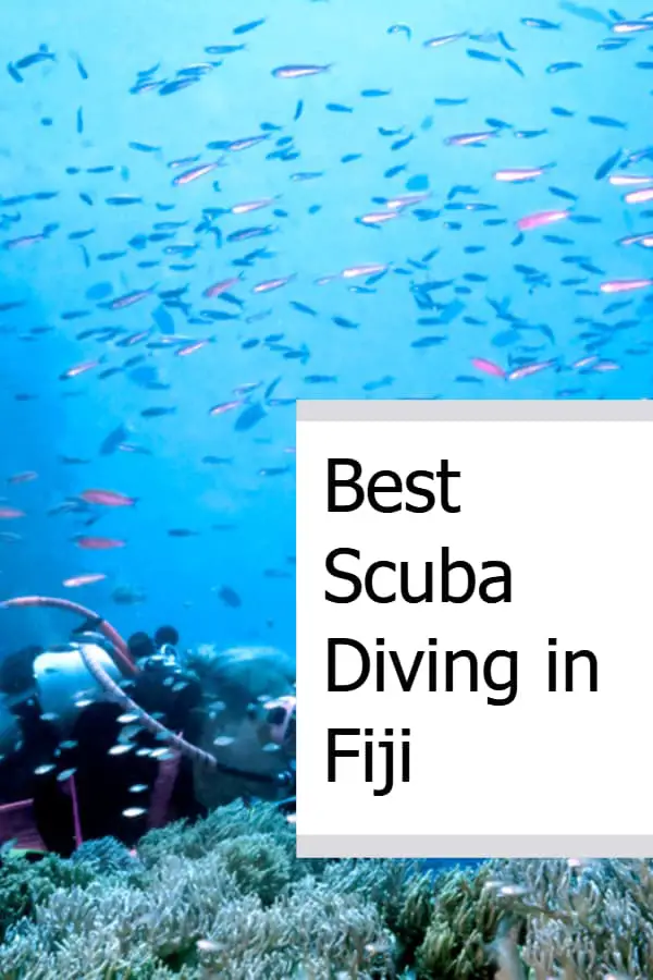 Best Scuba Diving in Fiji Pin