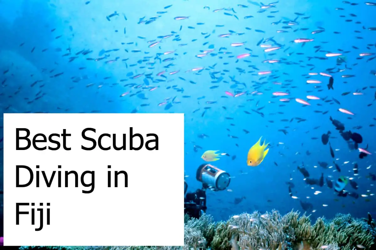 Best Scuba Diving in Fiji