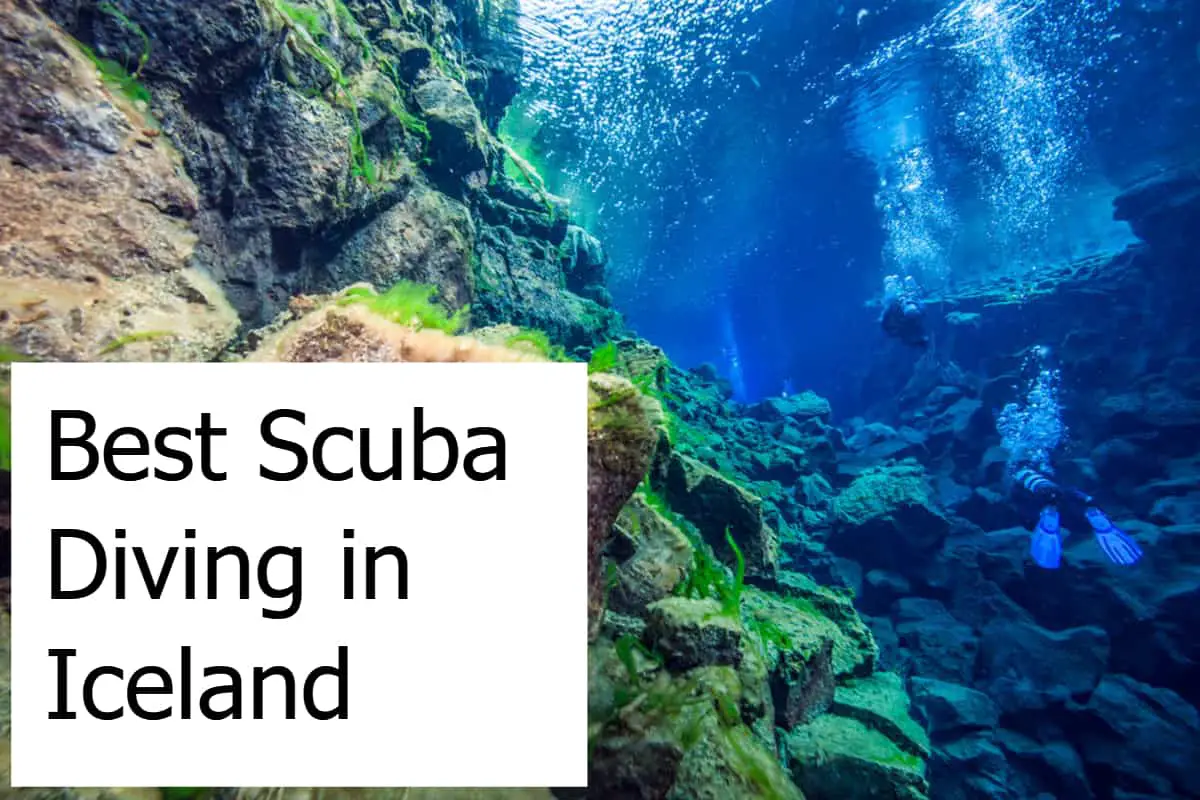 Best Scuba Diving in Iceland