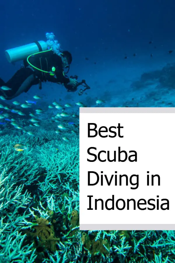 Best Scuba Diving in Indonesia Pin