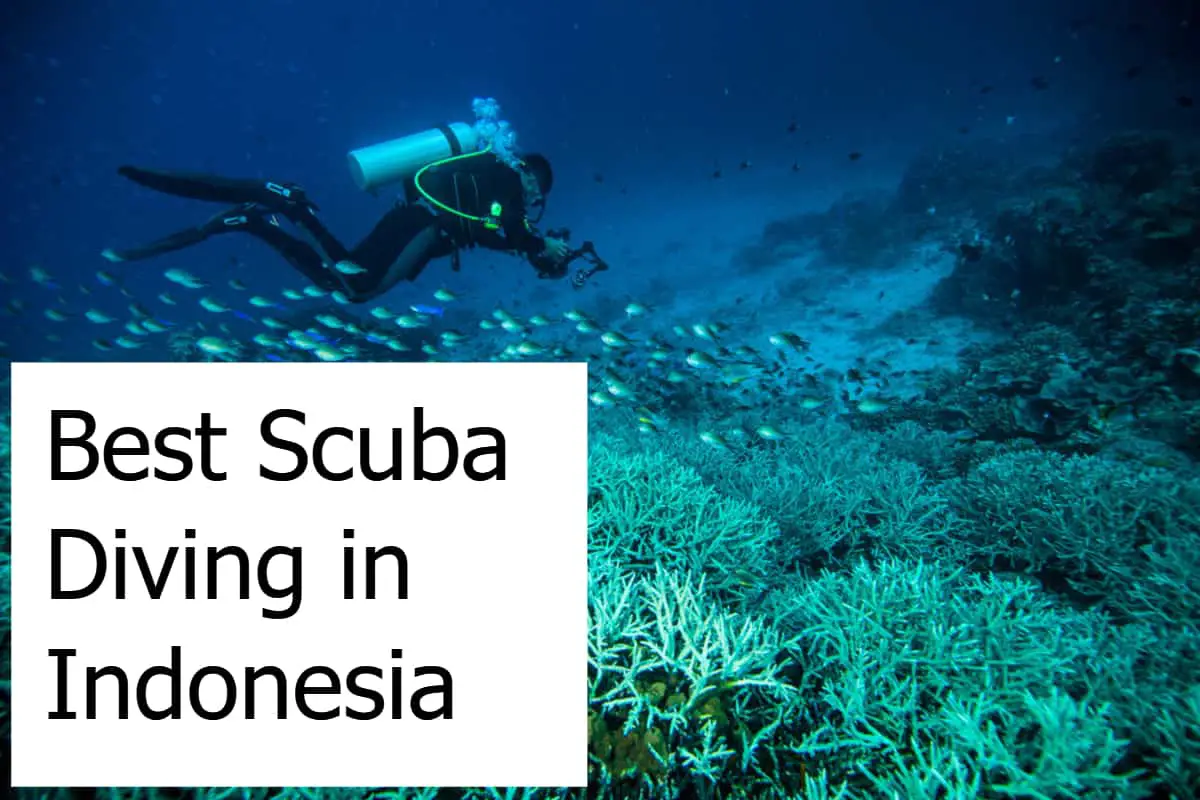 Best Scuba Diving in Indonesia