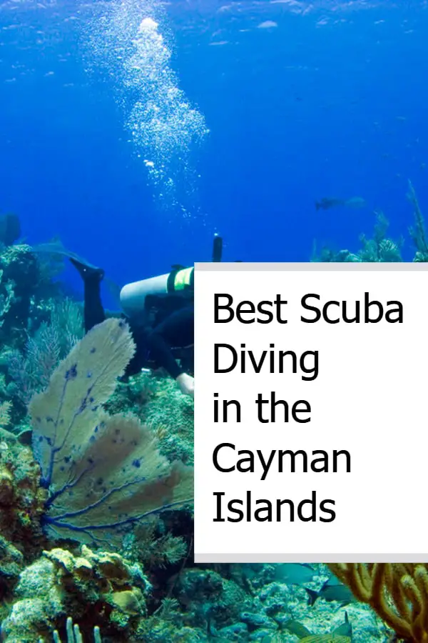 Best Scuba Diving in the Cayman Islands Pin