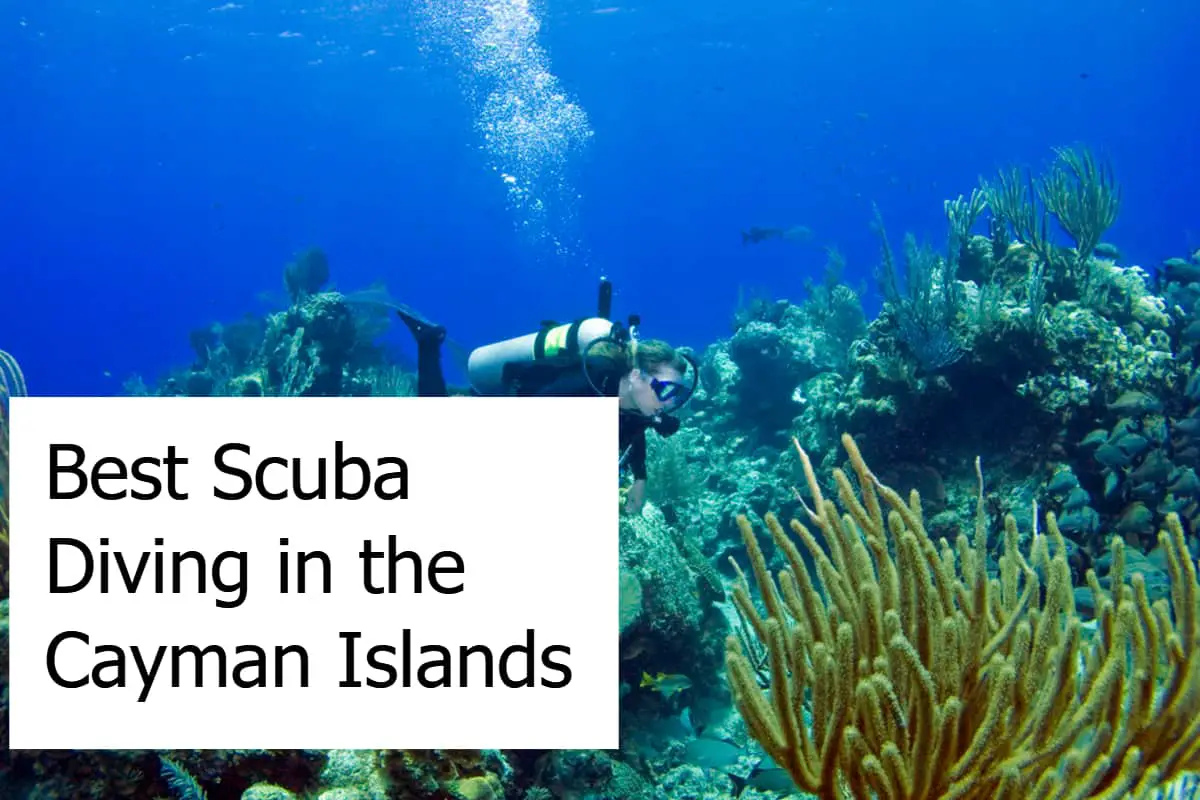 Best Scuba Diving in the Cayman Islands