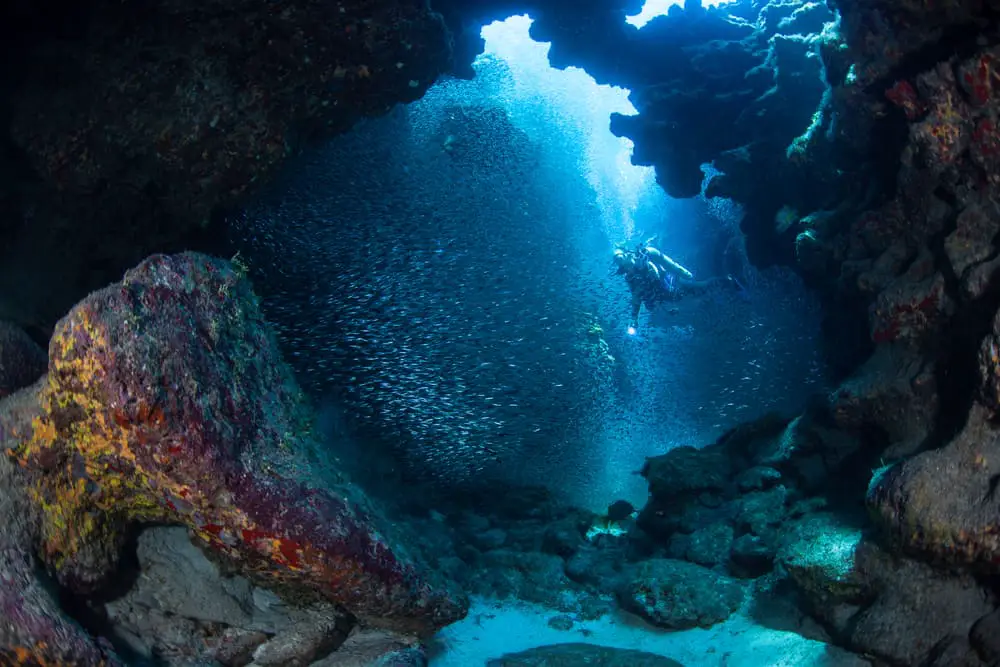 Diving an underwater cavern in the Caymans