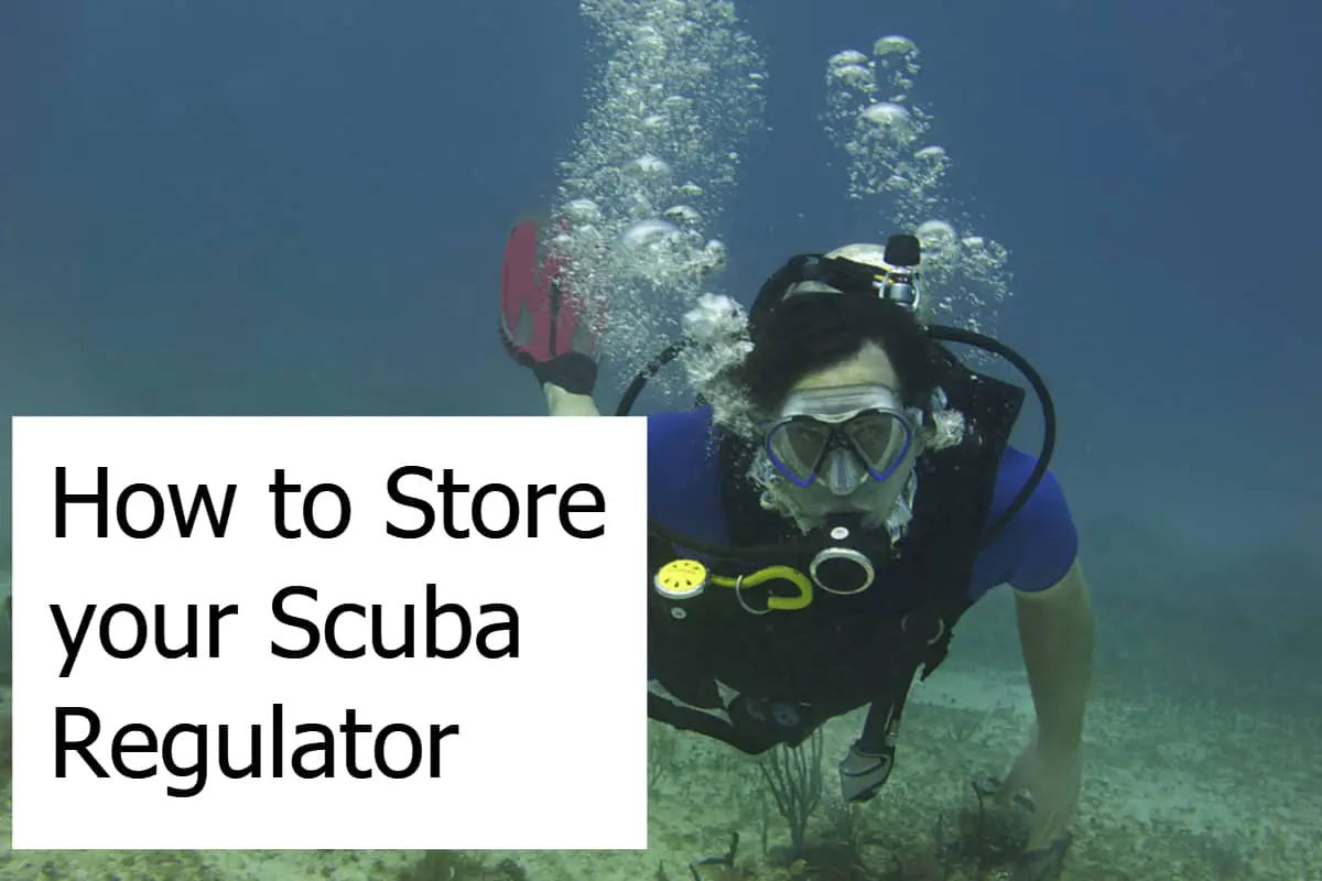 How to Store your Scuba Regulator