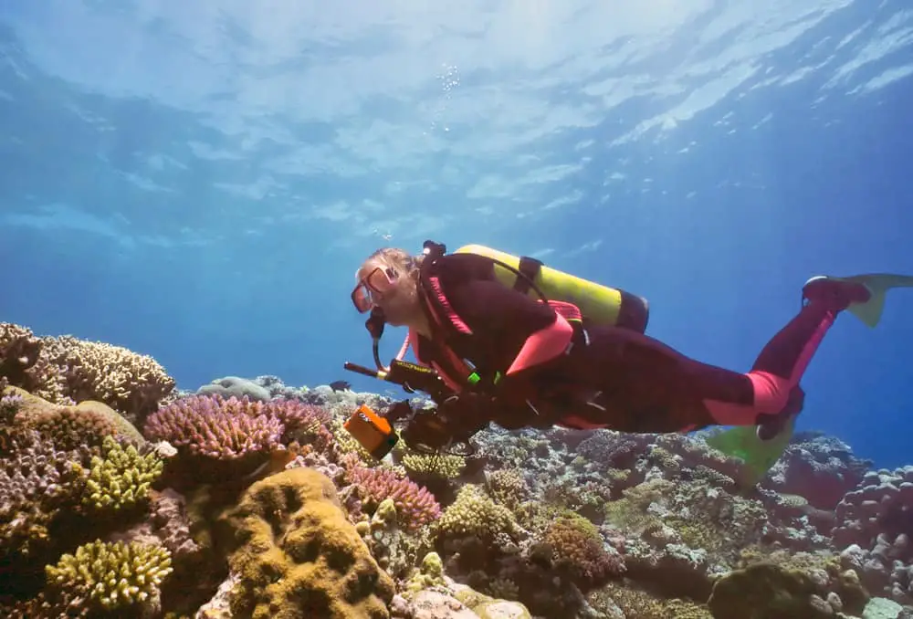 Scuba Diving in Fiji