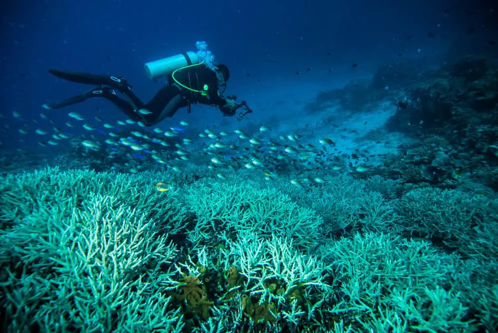 Safely descending and ascending when diving