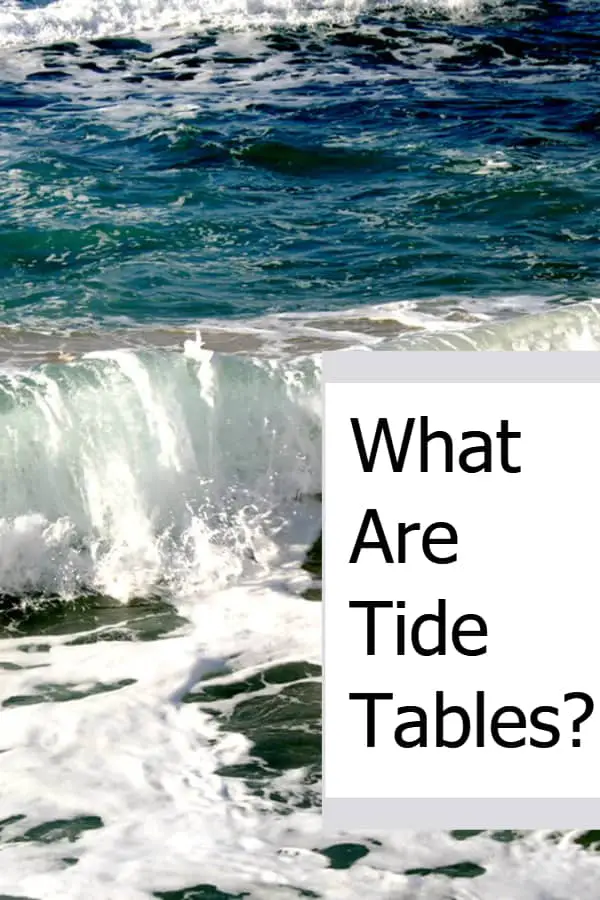 What Are Tide Tables And Do You Need To Know About Them When Diving?