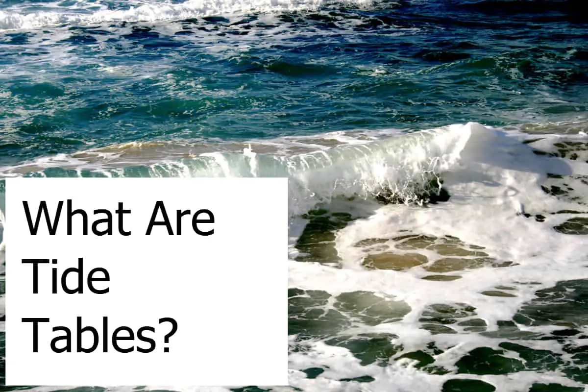 What Are Tide Tables And Do You Need To Know About Them When Diving?