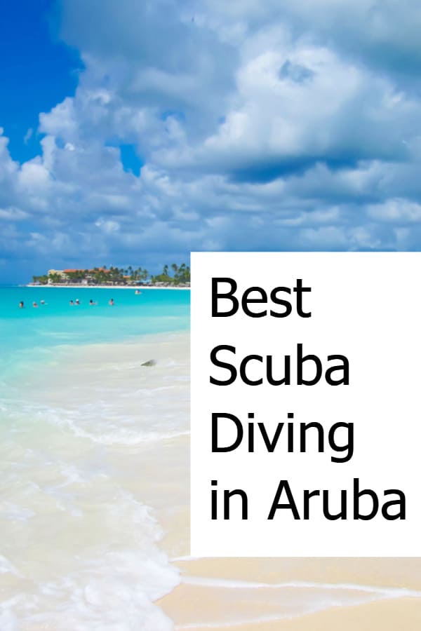 Best Scuba Diving in Aruba Pin