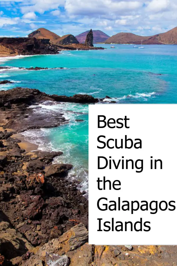 Best Scuba Diving in the Galapagos Islands Pin