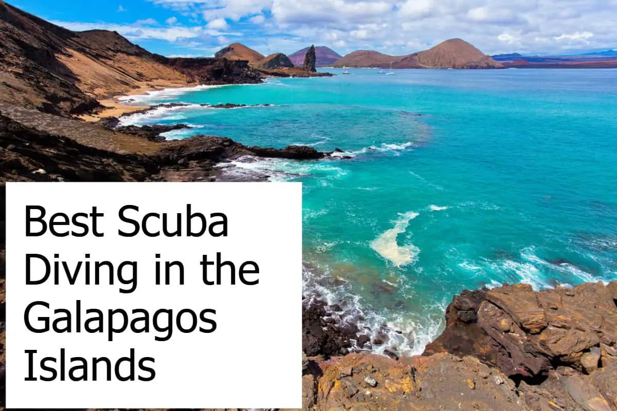 Best Scuba Diving in the Galapagos Islands