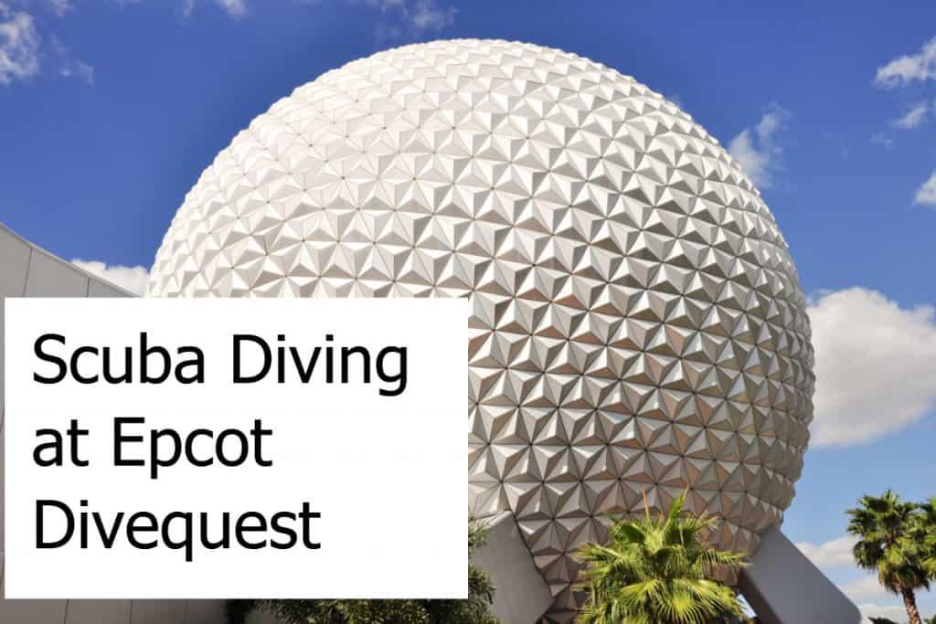 Scuba Diving at Epcot Divequest