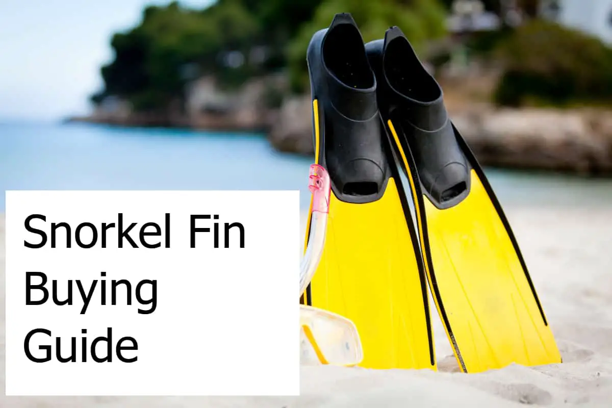 Snorkel Fin Buying Guide