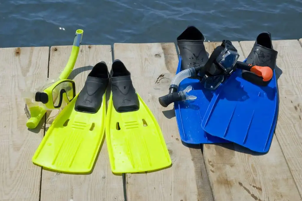 How to Find the Best Fins for Snorkeling Editor