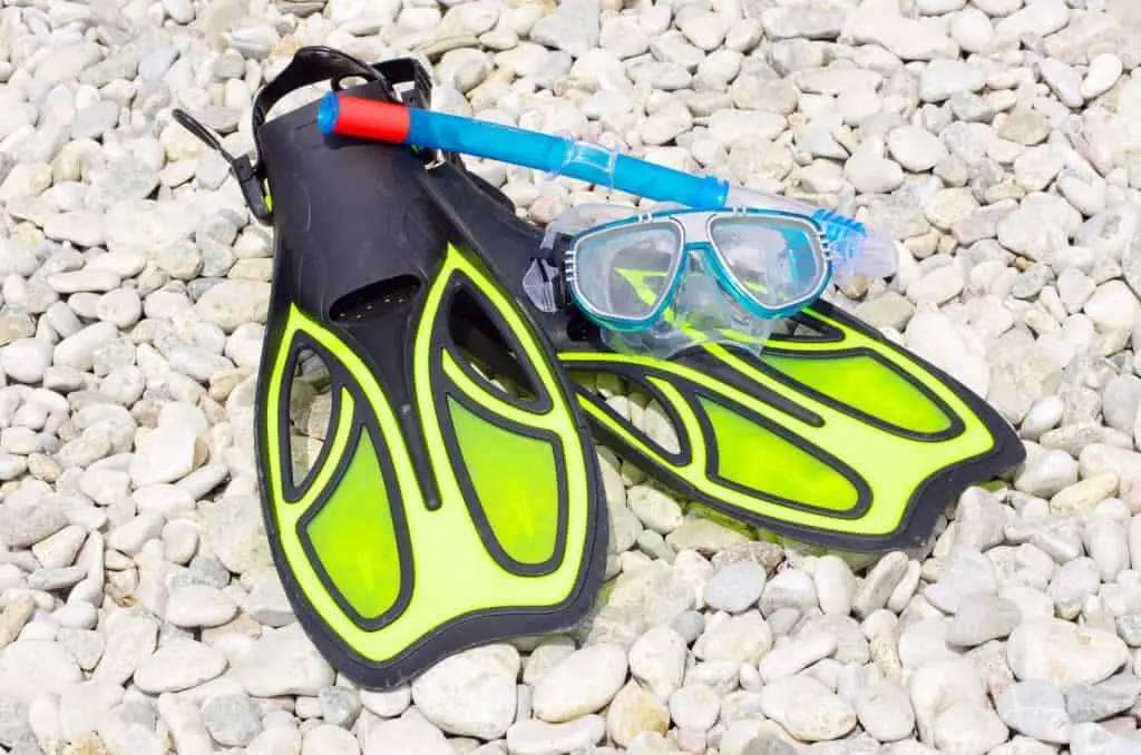 Top rated snorkel flippers