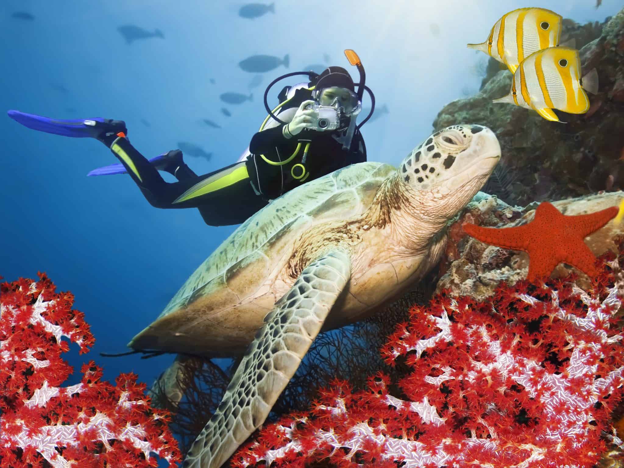 Find the Best Scuba Diving Spots in the Galapagos Islands