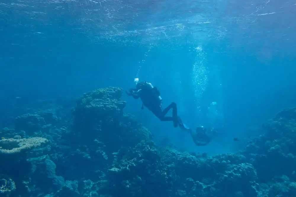 Avoiding Panic Attacks underwater