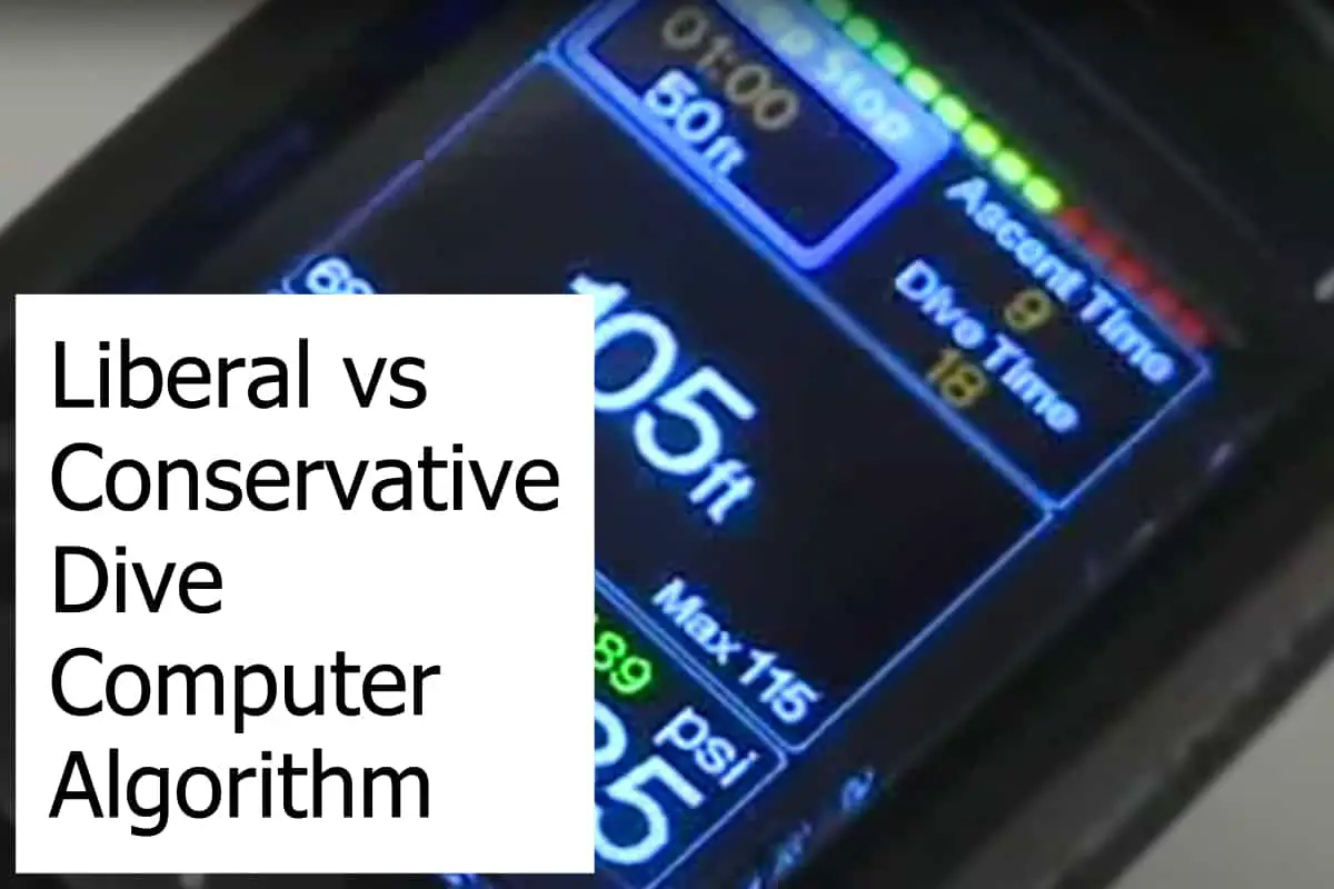 Scuba Diving Computers have different algorithms depending on each manufacturer. There are conservative and liberal ones. Is one kind better than the other?