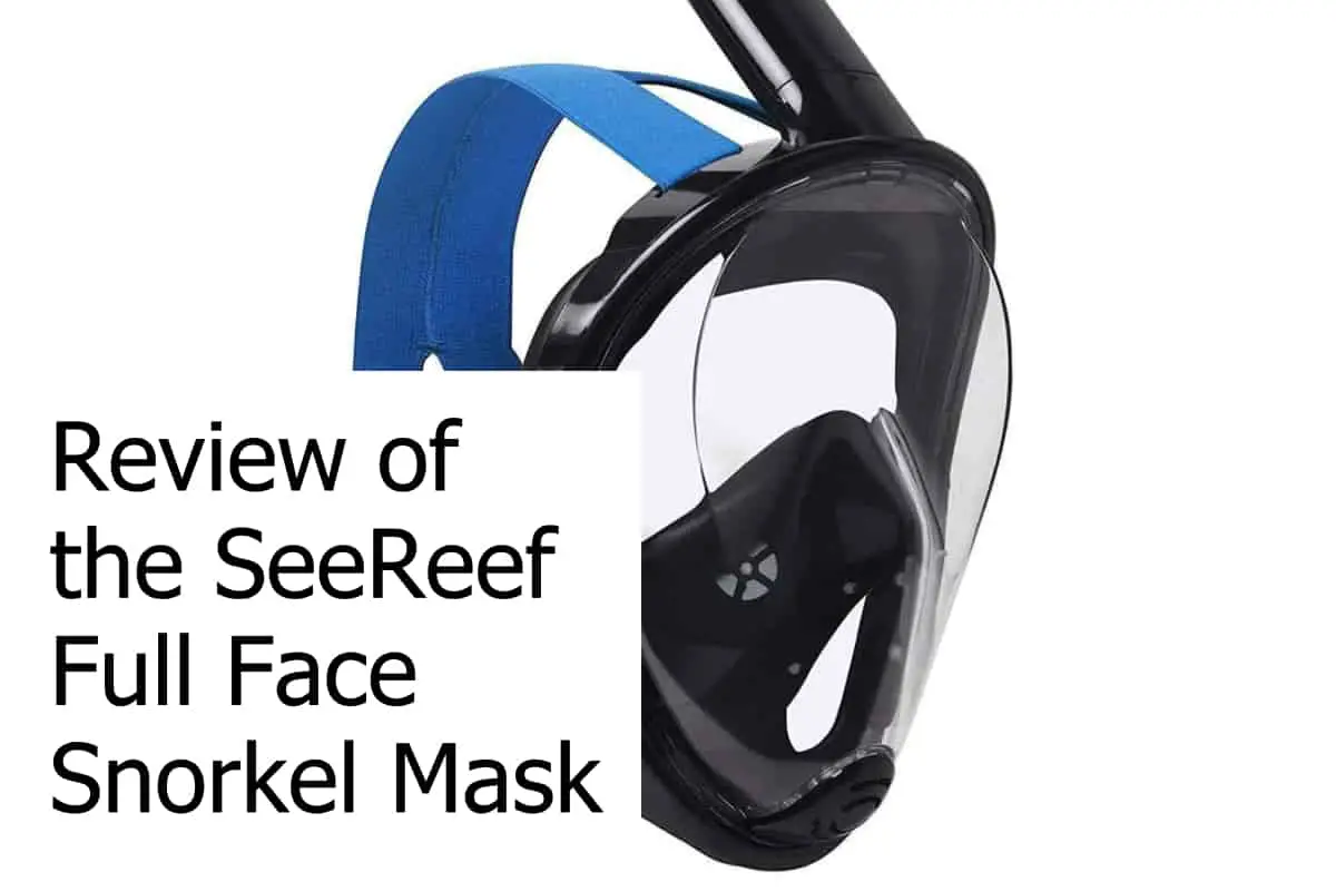 SeeReef Full Face Snorkel Mask Review