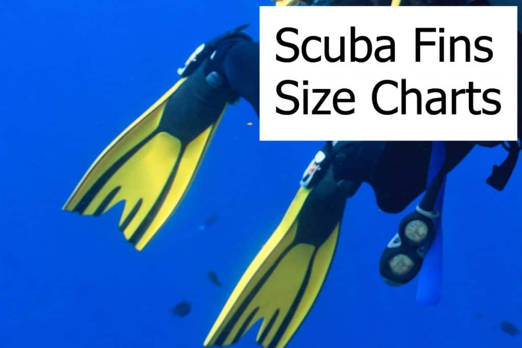 Chart and table for the right sizing of various scuba dive fins brands