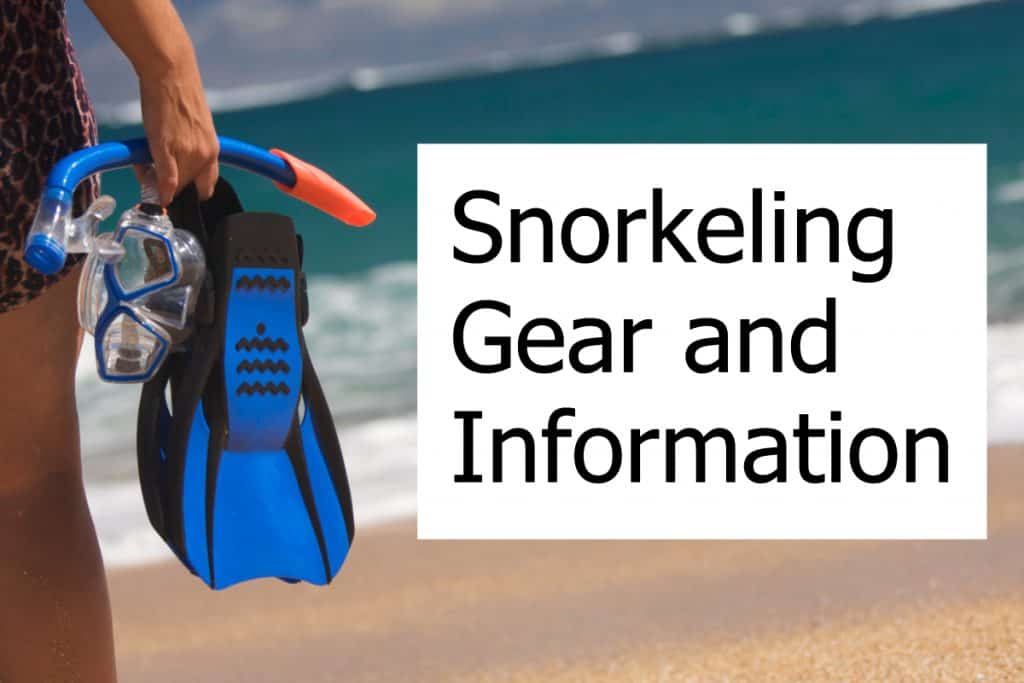 All about snorkeling including guides and equipment reviews