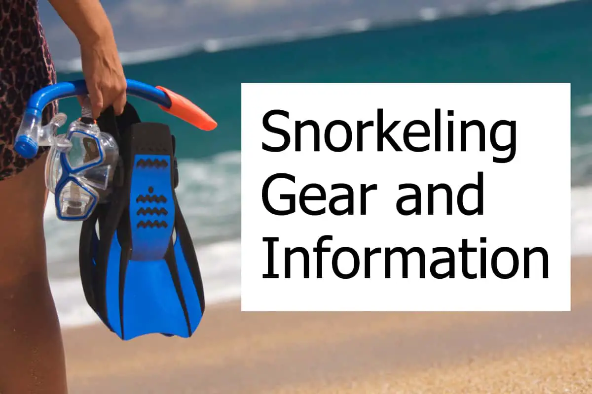 Dive and Snorkel Gear Reviews Scuba Diving Gear