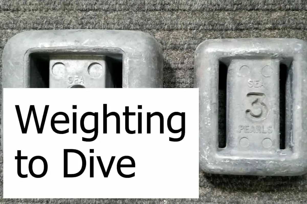 What do you need to know about weights for scuba diving? Check out how to use the correct weights for your dives.