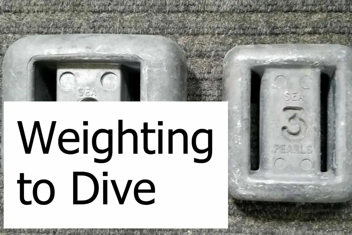 Weighting to Dive What you need to know about Scuba Weights! Scuba