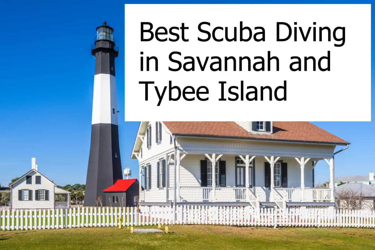 Finding great scuba diving and entertainment on Tybee Island and in Savannah