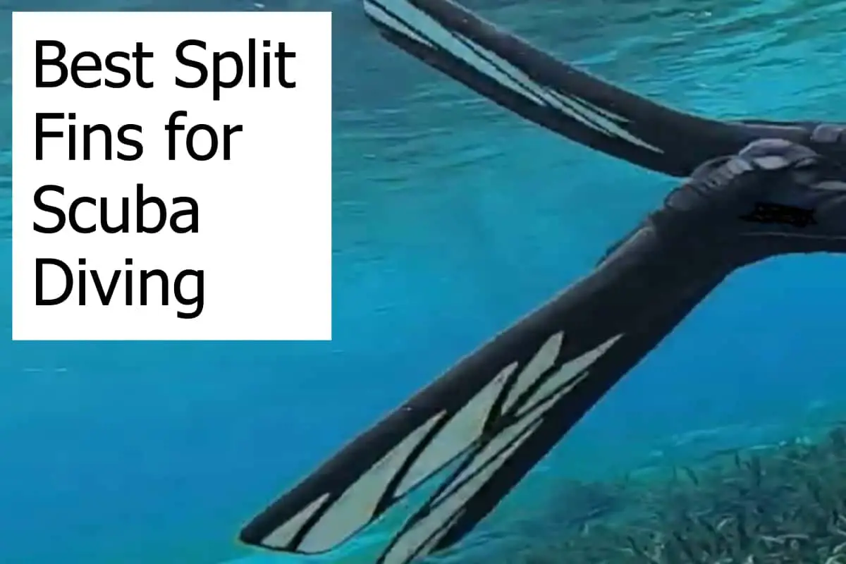 Finding the best split dive fins - Reviews of split fins and buying guide