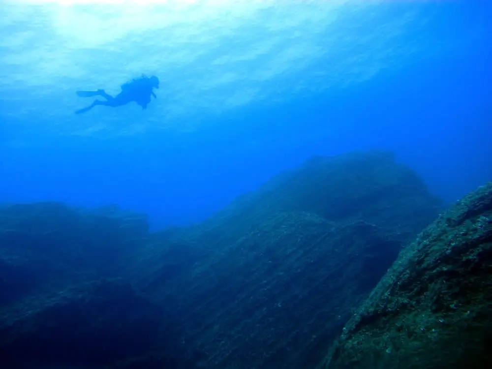 Diving off of Tybee Island and Savannah