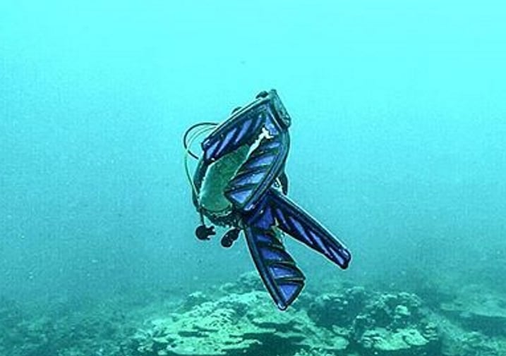 Diving with Split Fins