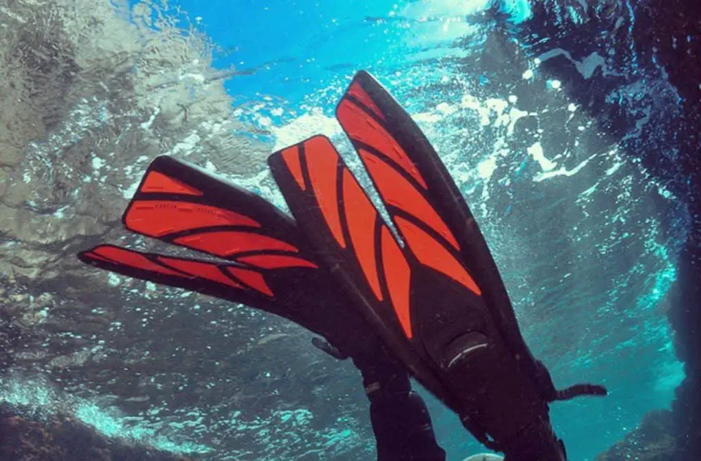 Find the Best Split Fins for Scuba diving