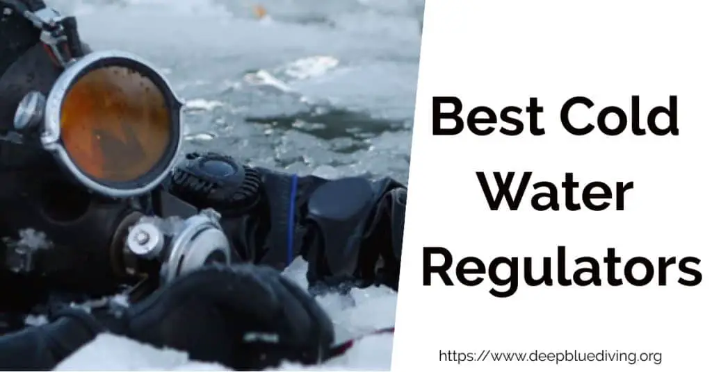 Best Regulators to Dive in Cold Water