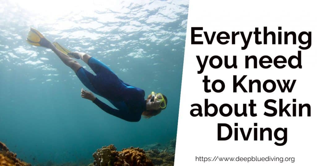 Everything you need to Know about Skin diving - What gear and training do you need to go skin diving?